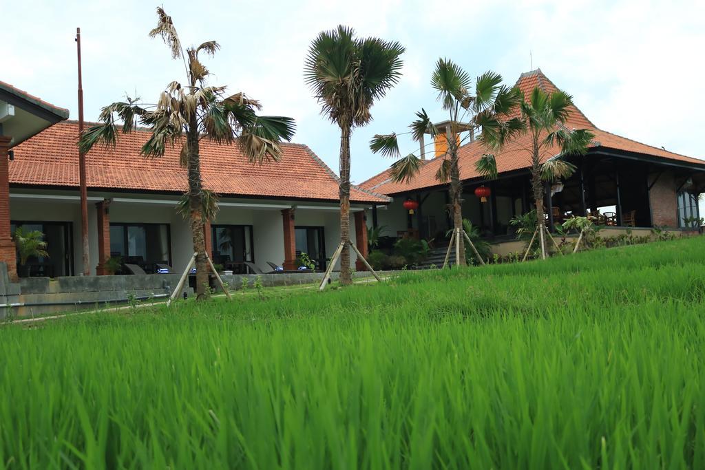 Kampung Canggu Kültér fotó