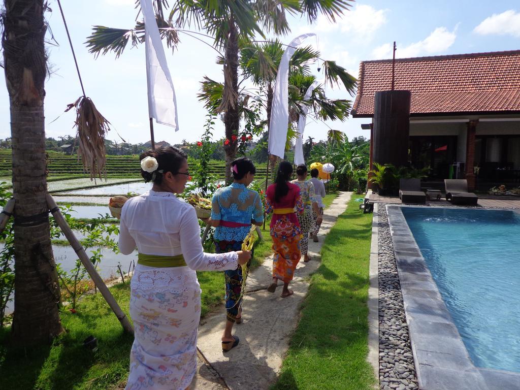 Kampung Canggu Kültér fotó