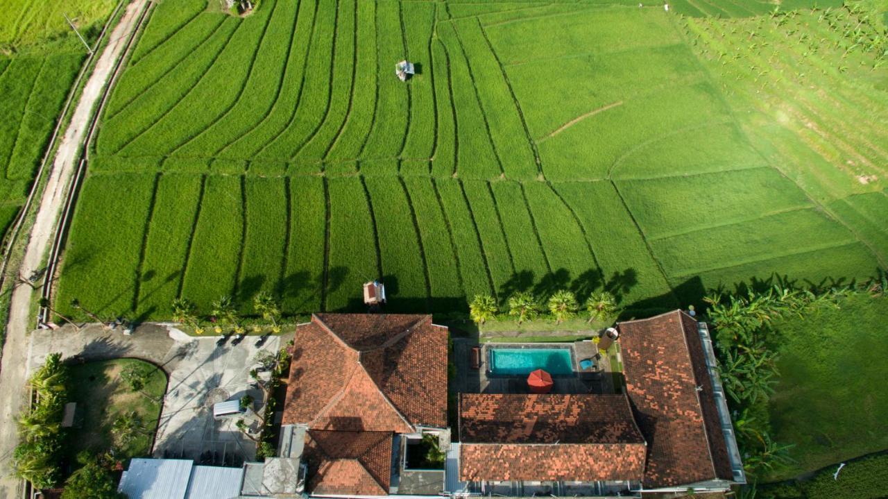 Kampung Canggu Kültér fotó